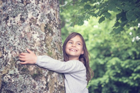 Kind versucht dicken alten Baum zu umarmen