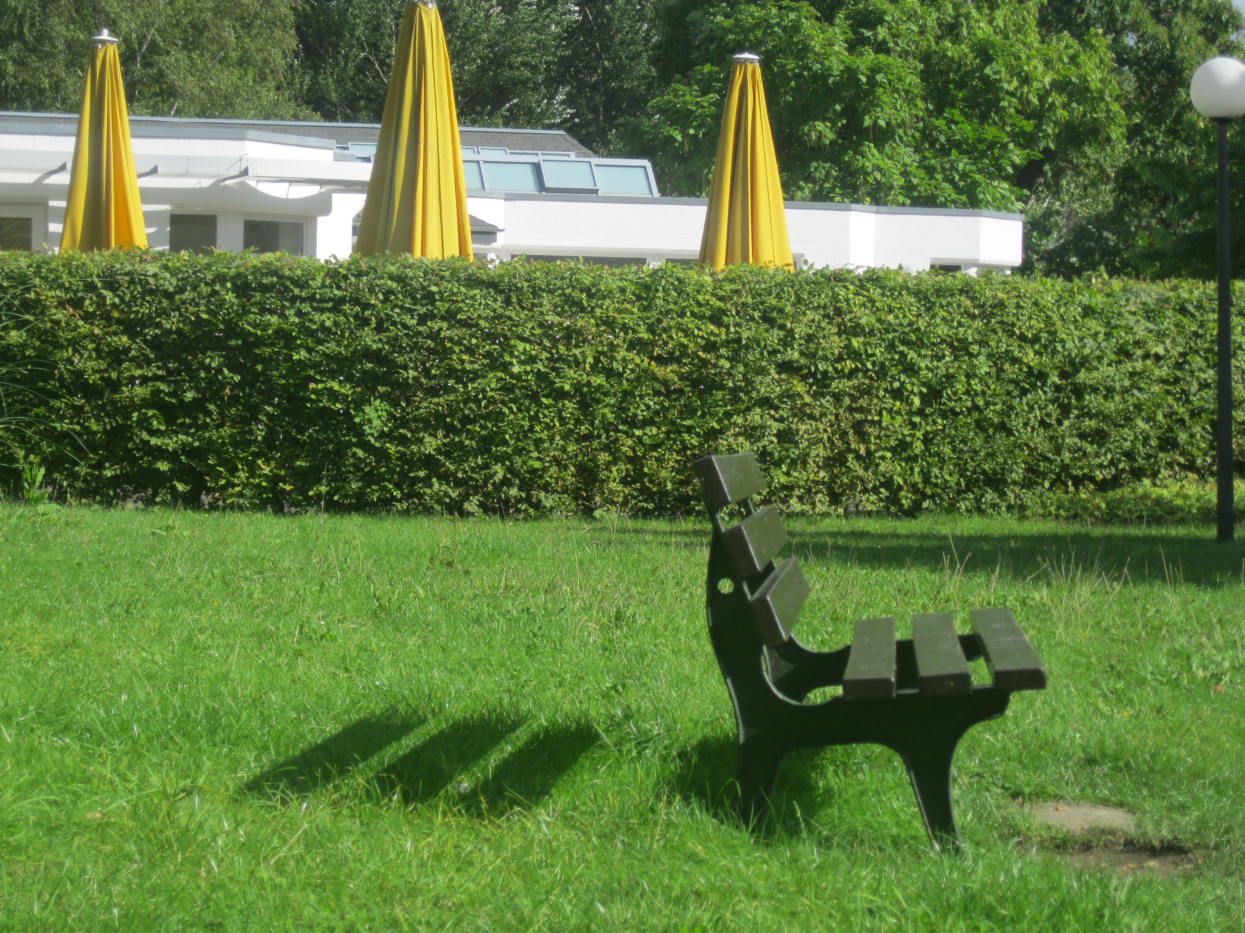 Bank in Parklandschaft